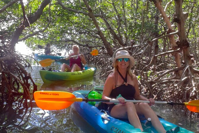 Tierra Verde Private Mangrove Tunnels Kayak Tour Near St. Pete  - St Petersburg - Directions