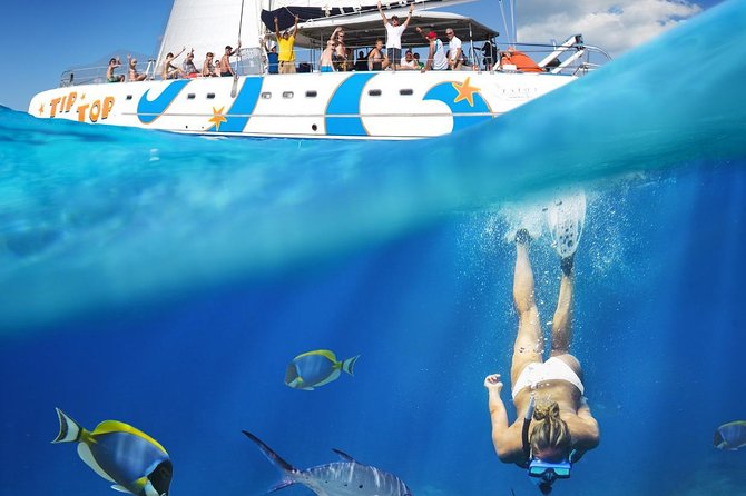Tip Top Catamaran - Cancellation Policy