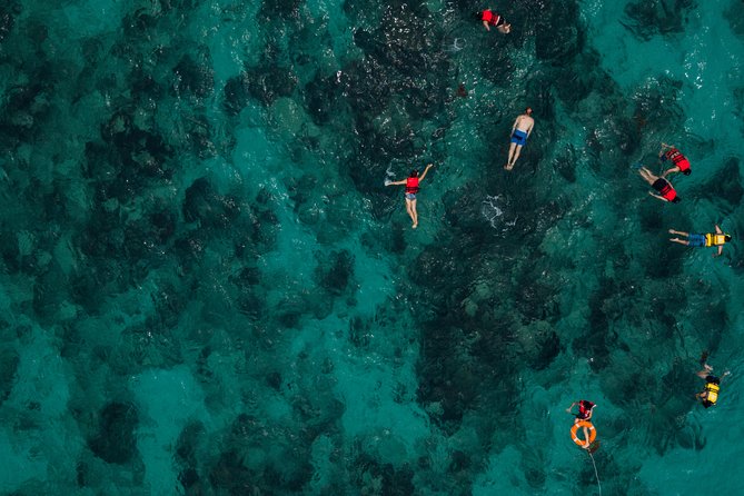 Tobago Buccoo Reef Glass Bottom Boat Tour - Traveler Reviews