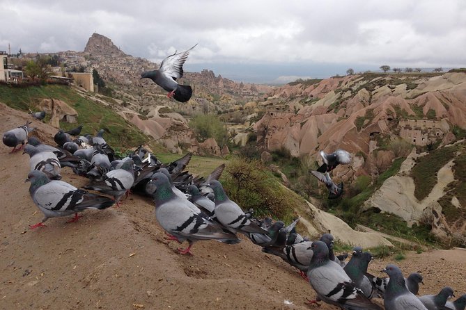 Tour of Highlights of Cappadocia With Lunch - Common Questions