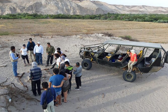 Tour Operators in Nasca in Buggy Archeology and Adventure - The Sum Up