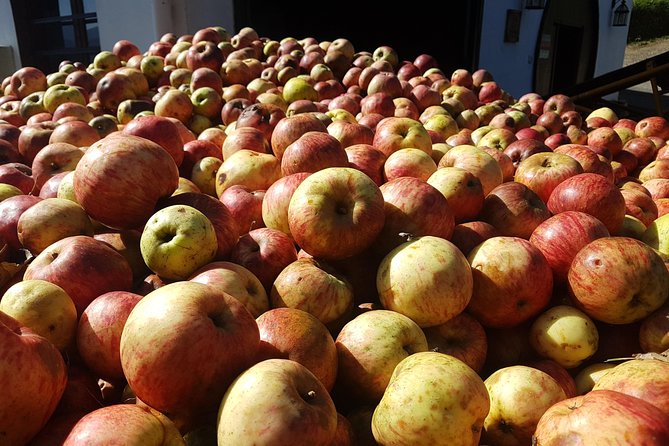 Traditional Basque Cider House Experience From San Sebastian - Pricing and Booking Information