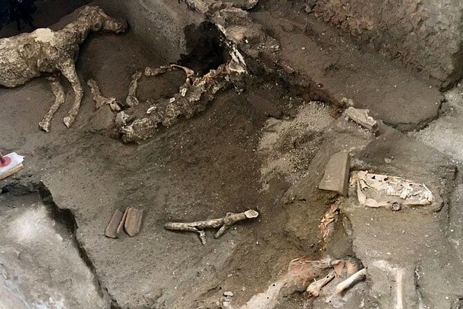Transfers From Sorrento to Naples Plus 2 Hours Pompeii Excavations or Vice Versa - Common Questions