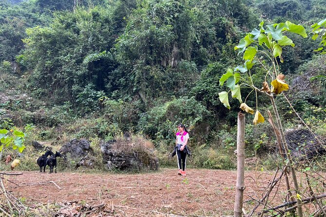 Trekking Ban Gioc Waterfall to Hidden Village on Unique Route - Common Questions