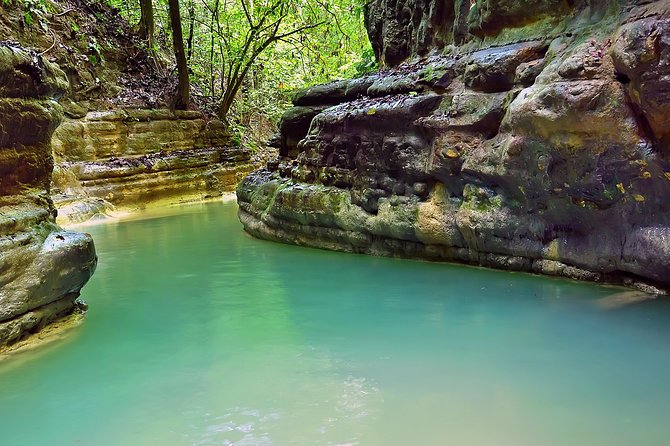 Triple Fun! Monkeyland Damajagua Waterfalls Buggies From Puerto Plata - Additional Information for Travelers