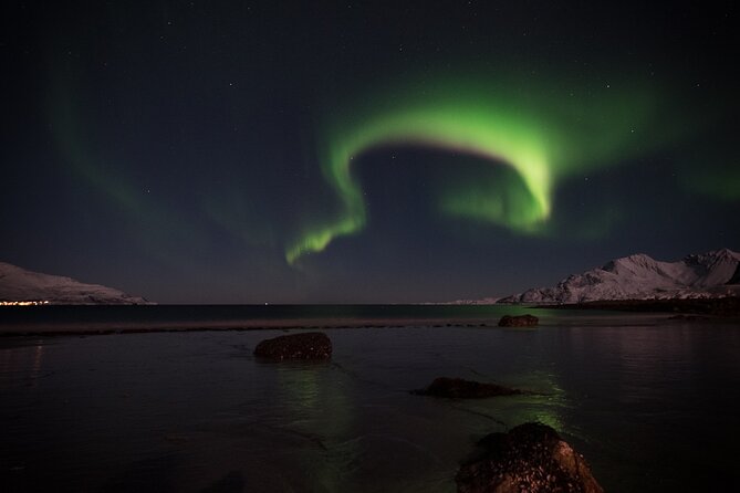 Tromsø Norway - Small Group Aurora Hunt Tour With a Local Guide - Traveler Reviews