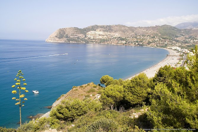 Tropical Coast & Nerja Caves Day Trip With Lunch From Granada - The Sum Up