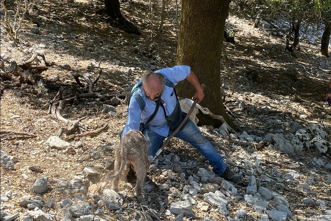 Truffle Hunting, Culinary & Wine Celebration From Elounda - Convenient Meeting and Pickup Options