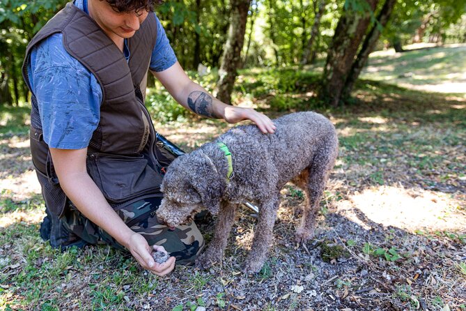 Truffle Lunch & Hunting Experience in San Gimignano - Sample Menu and Location Details