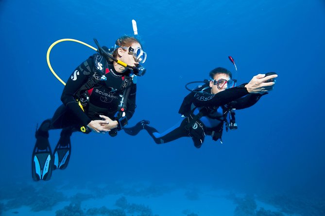 Try Scuba Dive (Baptism of the Sea) - Common Questions