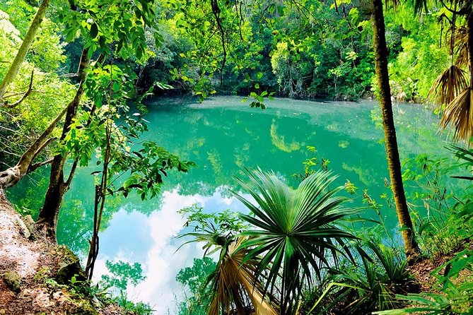 TULUM, CENOTE, MYSTIKA MUSEUM, TURTLES SNORKELING (Private) - Additional Activities at Mystika Museum