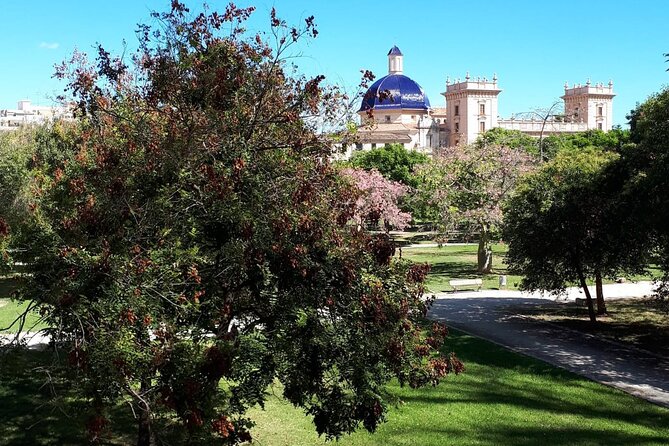 Turia Garden Private E-Scooter Tour. - Important Information