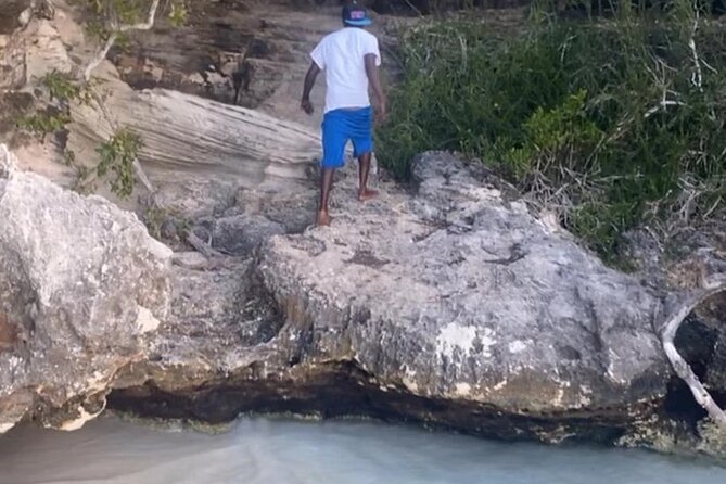Turks and Caicos Private Half-Day Boat Tour - Positive Feedback