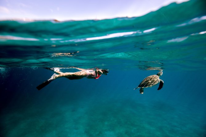 Turtle Cove Catamaran Snorkel & Sail Adventure at Little Buck Island St. Thomas - The Sum Up