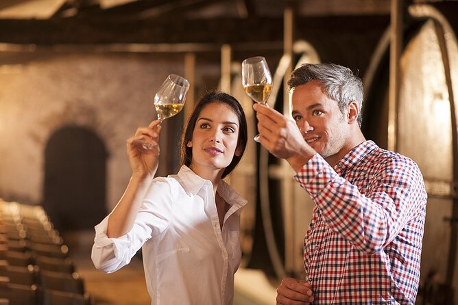 Tuscan Winery Tour and Wine Tasting  - Montecatini Terme - Historic Town of San Gimignano