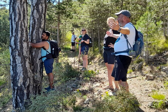 Two Day Private Trip With an Ascent to the Highest Peak of Valencian Community - Ascent to the Highest Peak