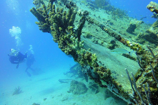 Two-Tank Dive for Certified Diving in St Thomas - Dive Sites