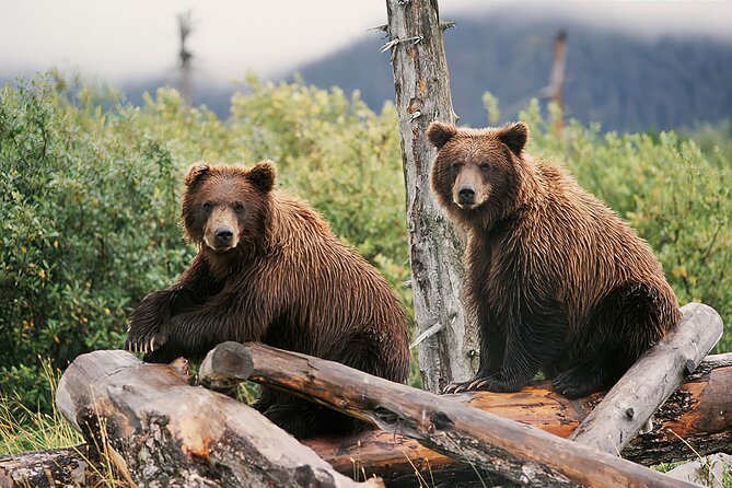 Ultimate Anchorage and Turnagain Arm Private Full Day Tour - Cancellation Policy