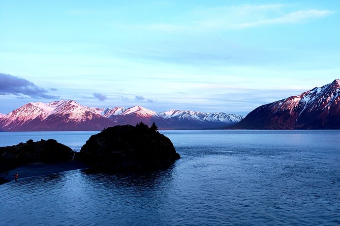 Ultimate Anchorage Winter Wildlife & Sunset Tour - Tour Pricing and Options