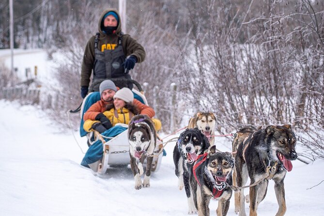 Ultimate Dog Sledding Tour - Day Trip From Ottawa & Gatineau - Terms & Conditions and Copyright Information
