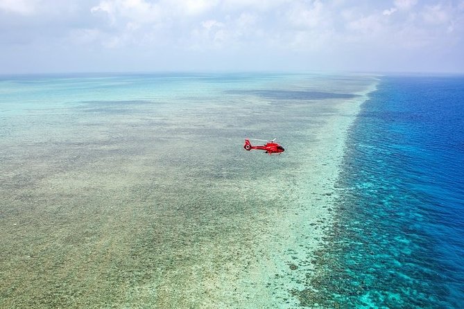 Ultimate Great Barrier Reef and Rainforest 45-minute Helicopter Tour - Barron Gorge National Park