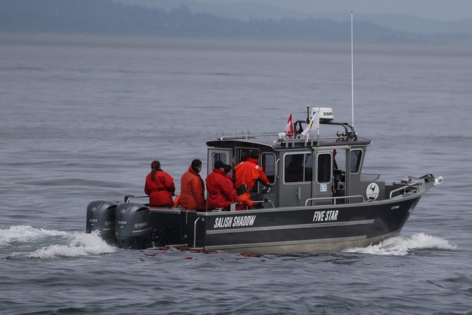 Ultimate Marine Whale & Wildlife Tour - Common Questions