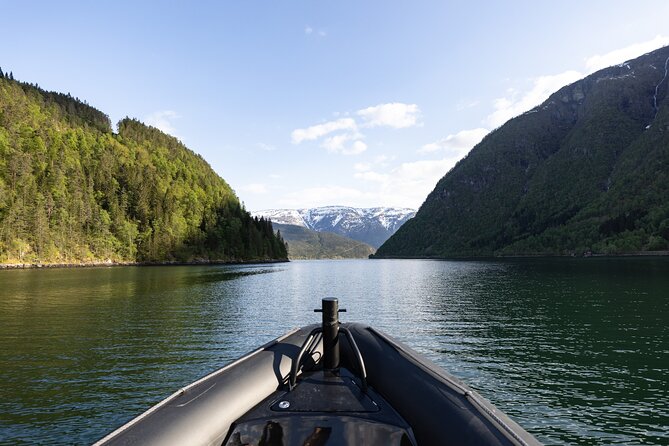 Ulvik Scenic RIB Adventure Tour to Osafjord - Pricing