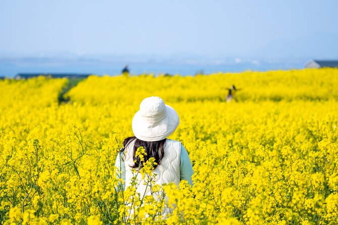 UNESCO Private Guided Culture and Nature Tour in JeJu Island - Common Questions