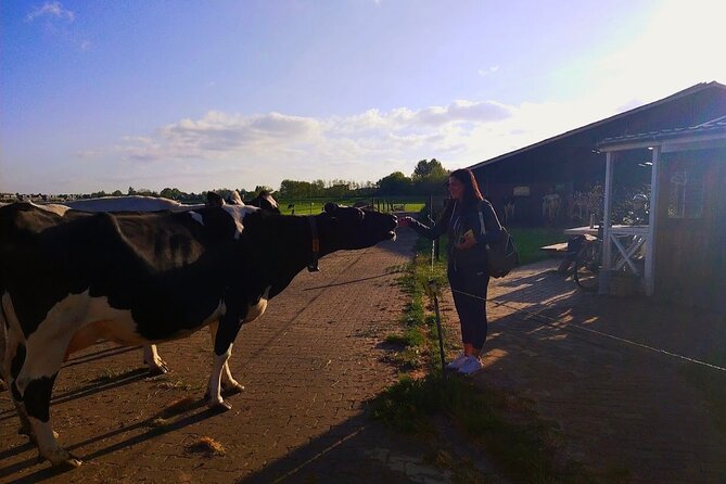Unique Dutch Villages Zaanse Schans, Dutch Farm and Giethoorn Tour Incl Boat - Attention to Comfort and Special Needs