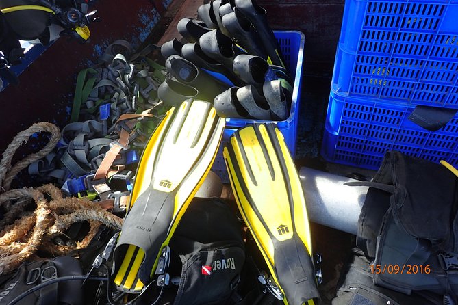 V.I.P Snorkeling & Fishing Tour ( Speed Boat ) Minimum 02 People - Pricing and Inclusions