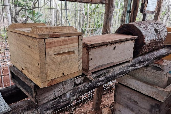 Valladolid Mayan Bees Tour With Lunch or Breakfast and Honey Tasting - Cut-off Times and Changes Policy