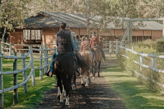 Valley Vista 1.5 Hour Horseback Trail Ride in Kananaskis - The Sum Up