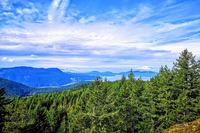 Vancouver Island Rainforest Guided Hike With Private Guide - Cruise Options