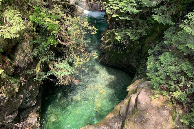 Vancouver Rainforest Hike With Waterfalls, Suspension Bridge, Old Growth Forest - Background