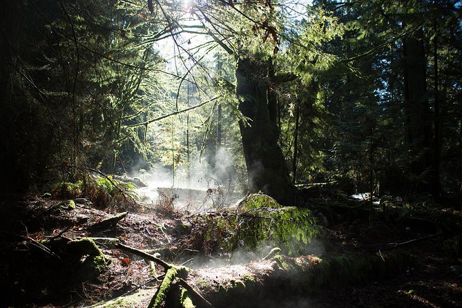 Vancouver Secrets of Stanley Park Walking Tour - Common Questions