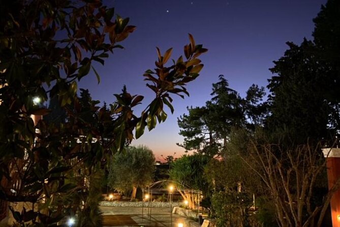 Vegan Charme: Typical Dinner With a Local in Monopoli - What to Expect