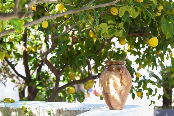 Viator Exclusive: Organic French Dinner in the Garden of Nice - Overall Immersive Dining Experience