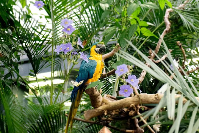 Victoria Butterfly Gardens Ticket - Reviews and Ratings