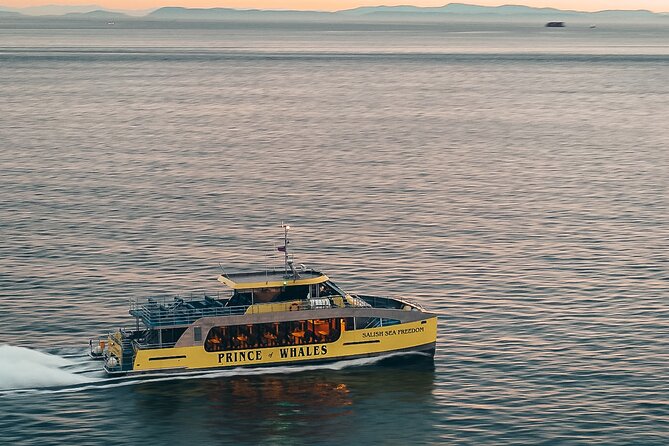 Victoria Sunset Whale-Watching Catamaran Sailing Tour - Good To Know