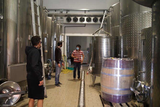 Vineyard Tour and Tasting of Lugana Wines - Common Questions