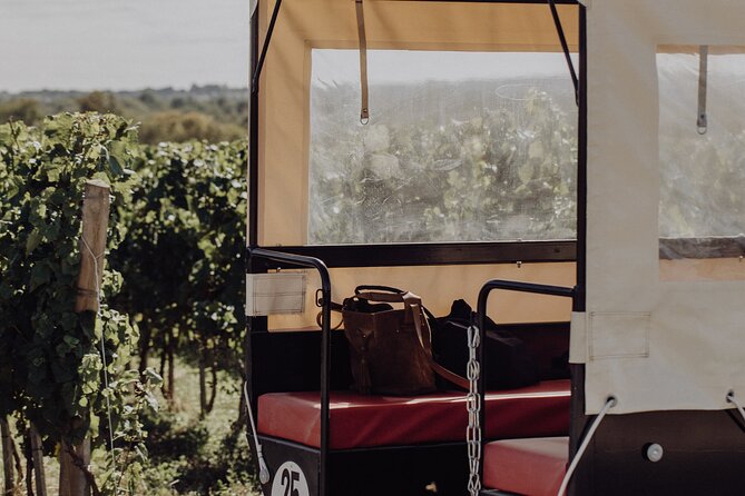 Vineyard Tour and Wine Tasting in Davron - Directions to Davron Vineyard