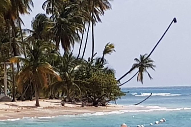 VIP Inclusive Private Tour of Island (Lunch, Drinks Snorkeling) - Itinerary Details