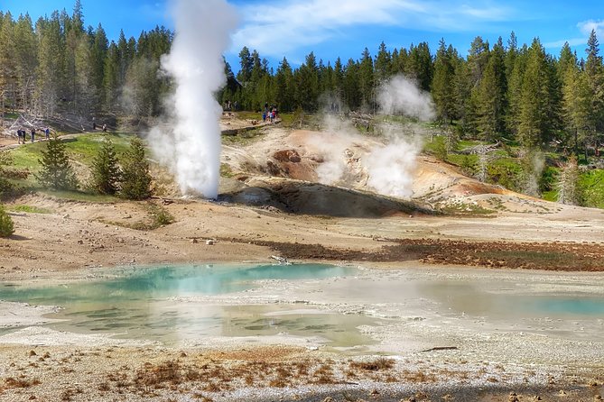 VIP Private Boutique Tour of Yellowstones Upper Loop - West Yellowstone, MT - Traveler Photos and Reviews