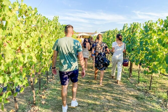 VIP Wine Experience Montalcino & Montepulciano With Lunch - Common Questions