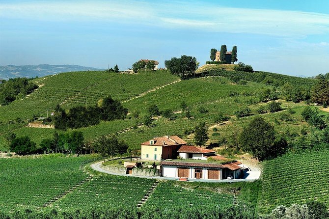 Visit Among Vineyards and Wine Cellar With Wine Tasting in Nizza Monferrato - Common Questions