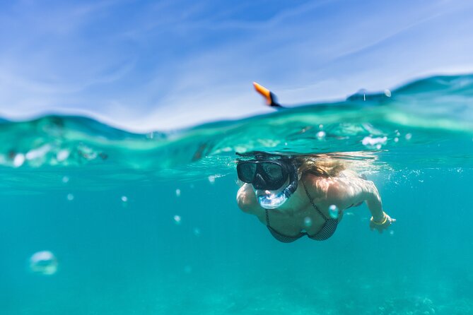 Waikiki Catamaran Cruise and Snorkeling  - Oahu - The Sum Up