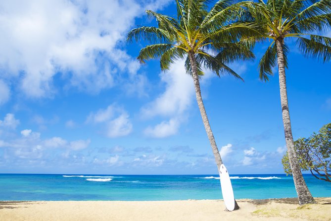 Wailua Valley & Waterfalls Audio Driving Tour - Traveler Reviews and Ratings