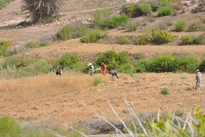 Walk Between Argan Forest, Ocean & Waterfalls. - The Sum Up