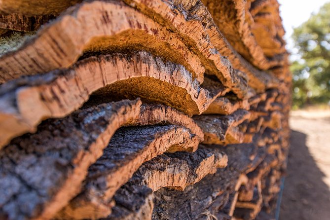 Walk on the Alentejo Cork Forest With Optional Lunch - Common Questions