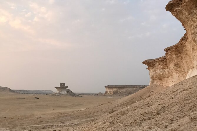 West Coast and Camel Race Track Visit - Common Questions